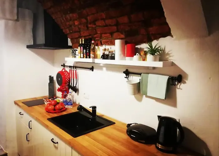 Apartamento Under The Castle Liubliana